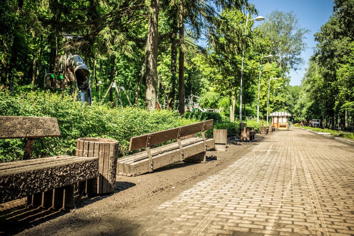 Воронеж парка динамо