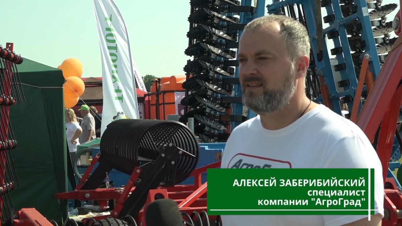 воронежское поле 2021 выставка. Смотреть фото воронежское поле 2021 выставка. Смотреть картинку воронежское поле 2021 выставка. Картинка про воронежское поле 2021 выставка. Фото воронежское поле 2021 выставка