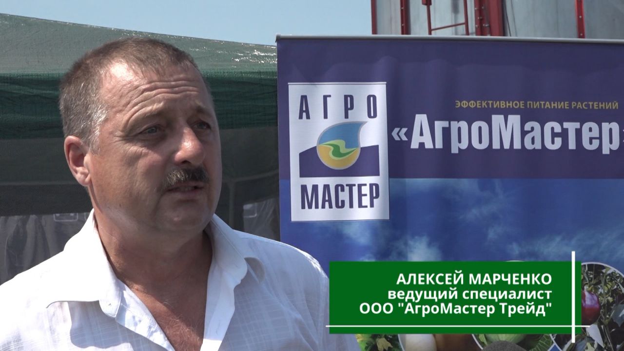 воронежское поле 2021 выставка. Смотреть фото воронежское поле 2021 выставка. Смотреть картинку воронежское поле 2021 выставка. Картинка про воронежское поле 2021 выставка. Фото воронежское поле 2021 выставка
