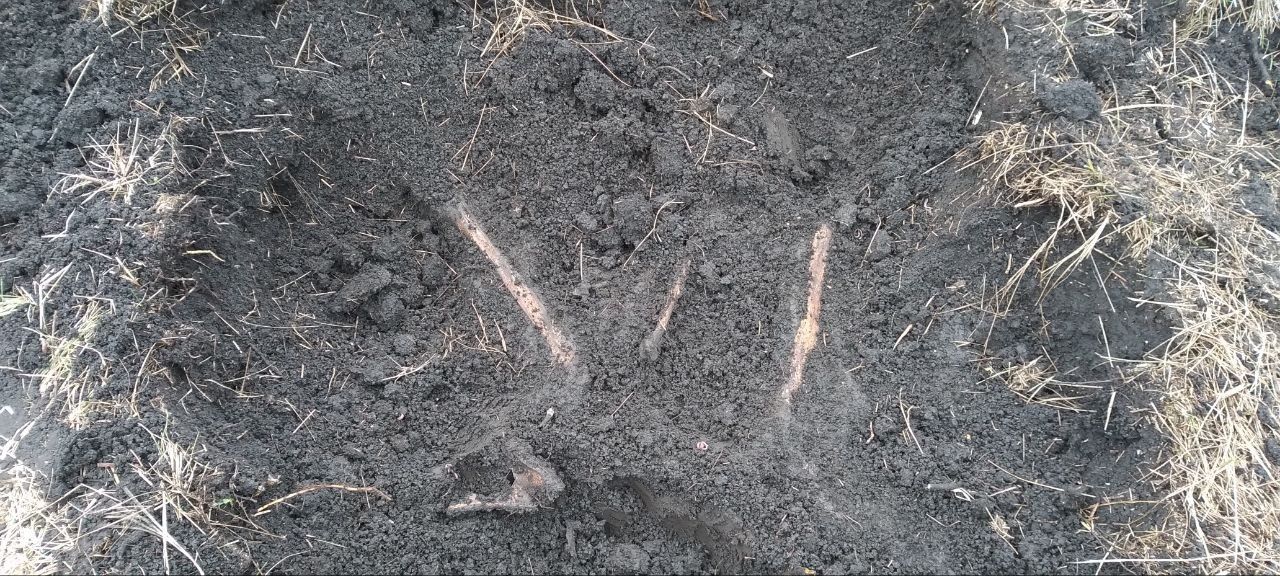 семилуки раскопки. упавший самолёт под воронежем. под воронежем нашли. узlа кавалерийская найдена в земле. под воронежем нашли.